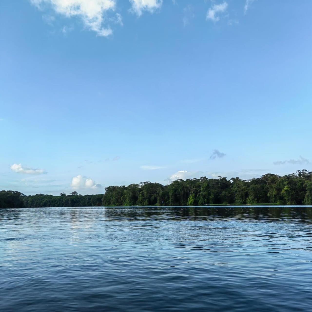 Tortuguero Villas Eksteriør billede