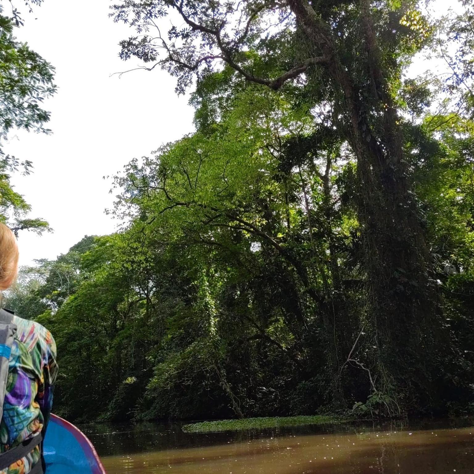 Tortuguero Villas Eksteriør billede