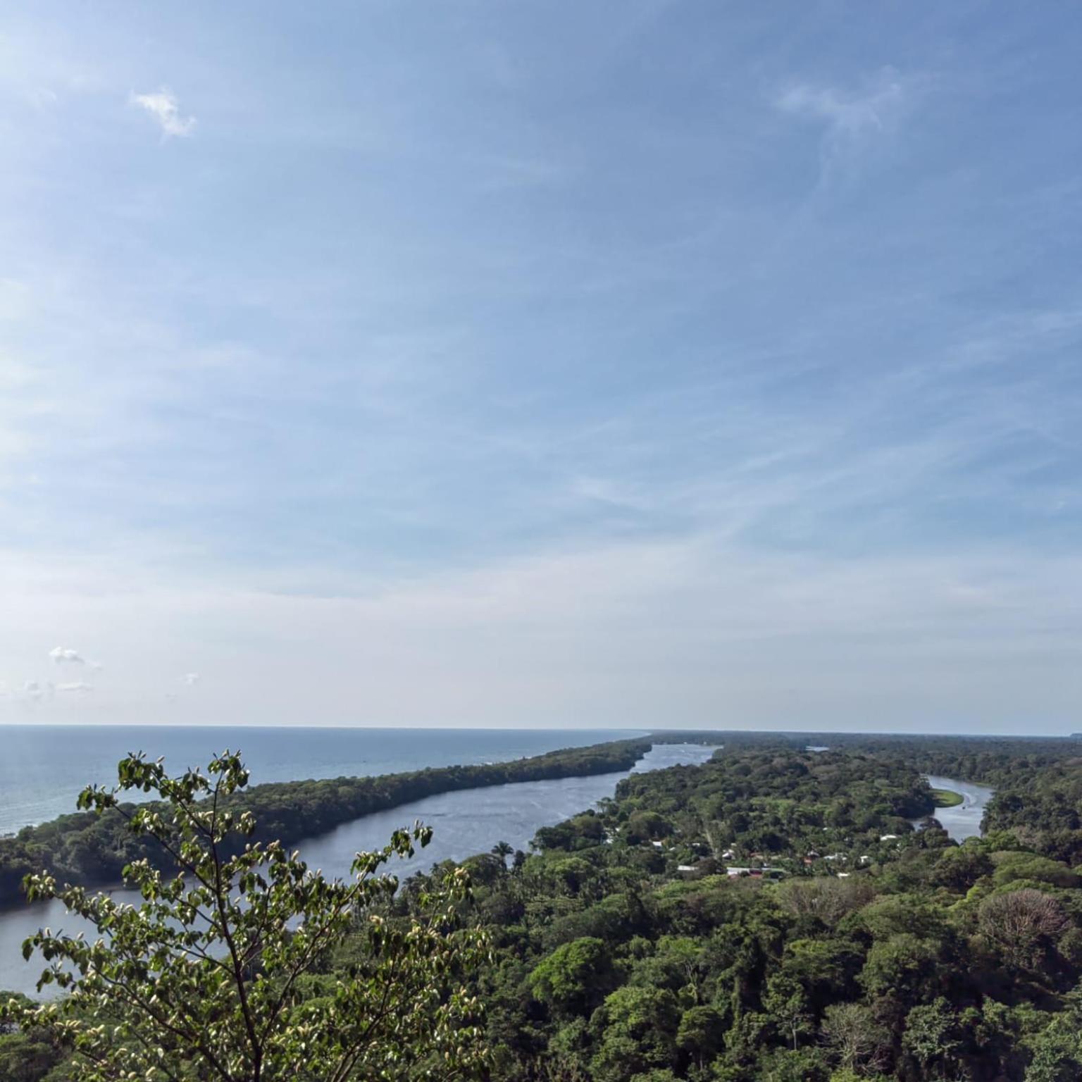 Tortuguero Villas Eksteriør billede