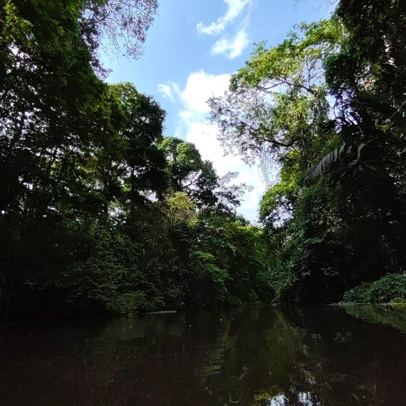 Tortuguero Villas Eksteriør billede